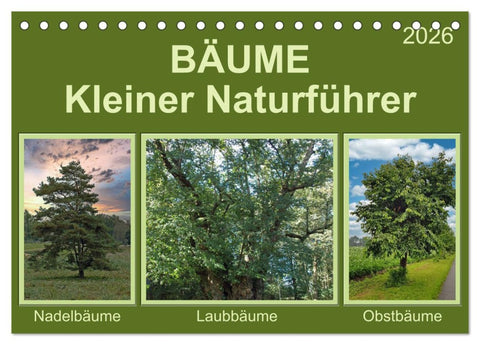 Bäume Kleiner Naturführer (Tischkalender 2026 DIN A5 quer), CALVENDO Monatskalender