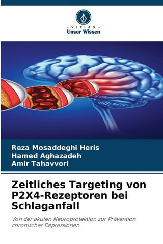 Zeitliches Targeting von P2X4-Rezeptoren bei Schlaganfall