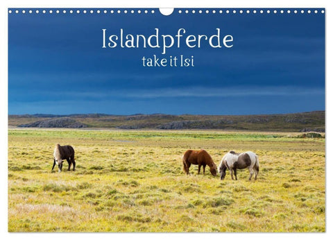 Islandpferde take it Isi (Wandkalender 2027 DIN A3 quer), CALVENDO Monatskalender