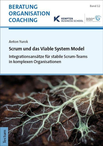 Scrum und das Viable System Model