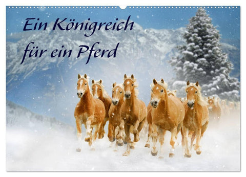 Ein Königreich für ein Pferd (Wandkalender 2026 DIN A2 quer), CALVENDO Monatskalender