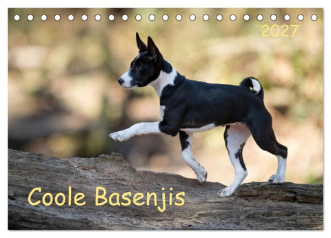Coole Basenjis (Tischkalender 2027 DIN A5 quer), CALVENDO Monatskalender