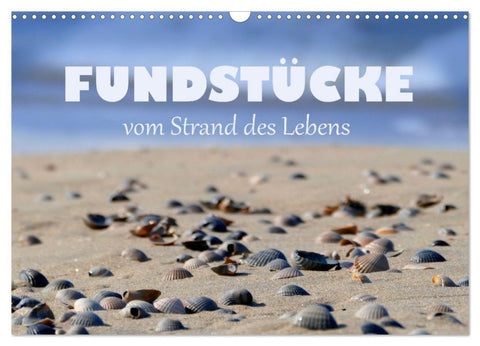 Fundstücke vom Strand des Lebens (Wandkalender 2026 DIN A3 quer), CALVENDO Monatskalender