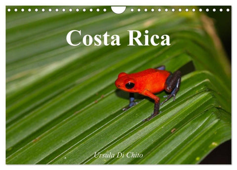 Costa Rica (Wandkalender 2027 DIN A4 quer), CALVENDO Monatskalender