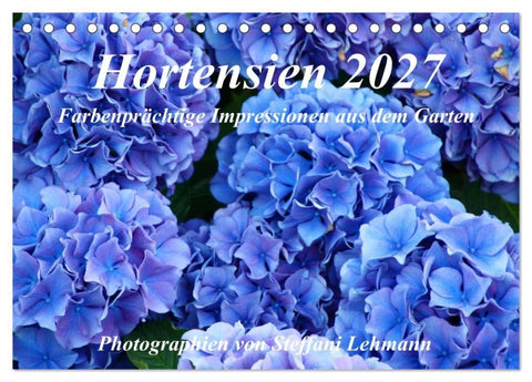 Hortensien 2027. Farbenprächtige Impressionen aus dem Garten (Tischkalender 2027 DIN A5 quer), CALVENDO Monatskalender