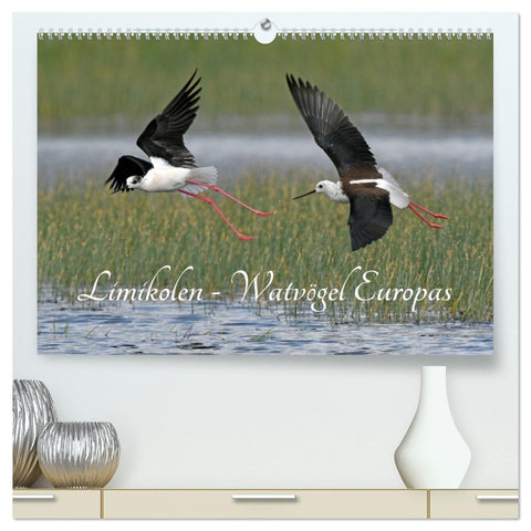 Limikolen - Watvögel Europas (hochwertiger Premium Wandkalender 2027 DIN A2 quer), Kunstdruck in Hochglanz