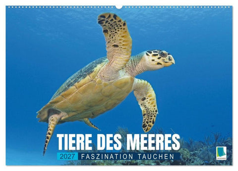 Tiere des Meeres: Faszination Tauchen (Wandkalender 2027 DIN A2 quer), CALVENDO Monatskalender