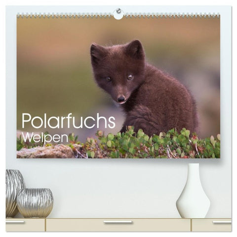 Polarfuchs-Welpen (hochwertiger Premium Wandkalender 2027 DIN A2 quer), Kunstdruck in Hochglanz