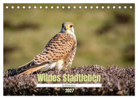 Wildes Stadtleben in München (Tischkalender 2027 DIN A5 quer), CALVENDO Monatskalender