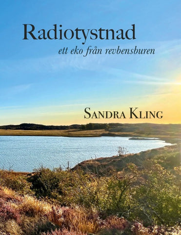 Radiotystnad