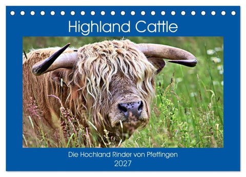 Highland Cattle, die Hochlandrinder aus Pfeffingen (Tischkalender 2027 DIN A5 quer), CALVENDO Monatskalender