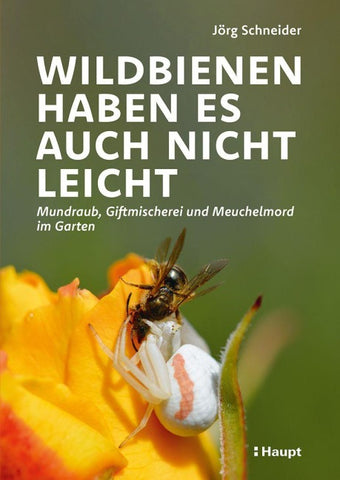 Wildbienen haben es auch nicht leicht