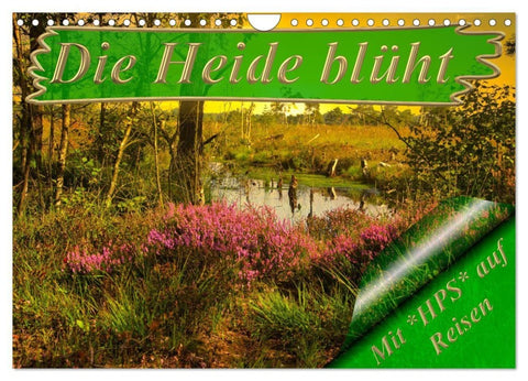 Die Heide blüht (Wandkalender 2027 DIN A4 quer), CALVENDO Monatskalender