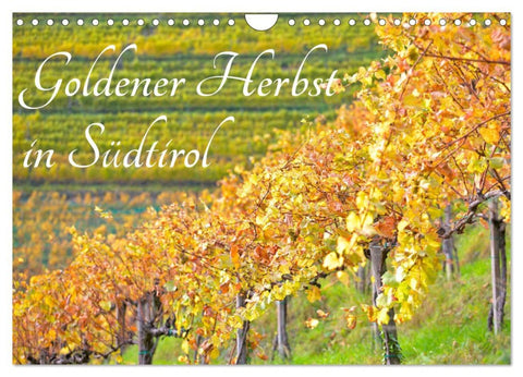 Goldener Herbst in Südtirol (Wandkalender 2026 DIN A4 quer), CALVENDO Monatskalender