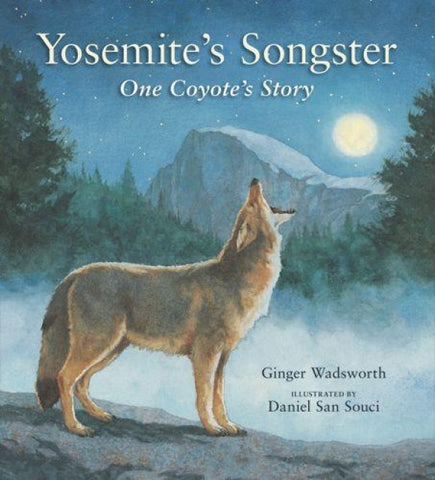 Yosemite's Songster