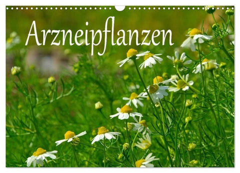 Arzneipflanzen (Wandkalender 2027 DIN A3 quer), CALVENDO Monatskalender