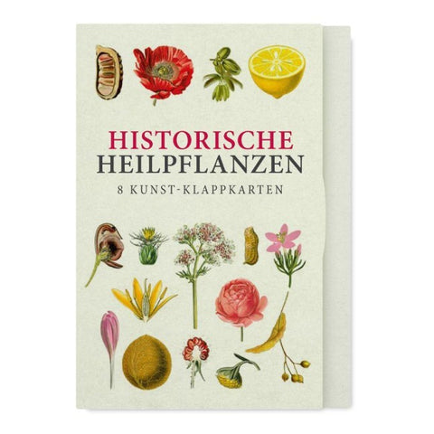 Historische Heilpflanzen – Acht Kunst-Klappkarten