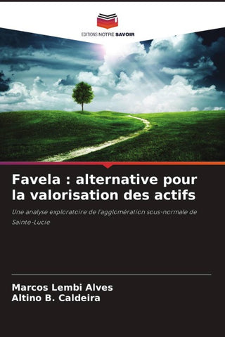 Favela : alternative pour la valorisation des actifs