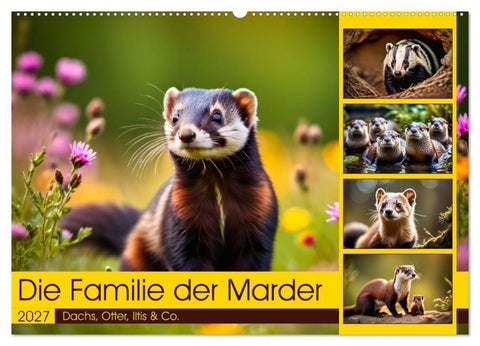 Die Familie der Marder (Wandkalender 2027 DIN A2 quer), CALVENDO Monatskalender