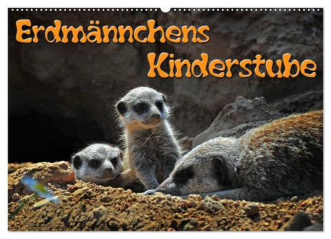 Erdmännchens Kinderstube (Wandkalender 2027 DIN A2 quer), CALVENDO Monatskalender