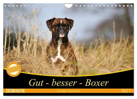 Gut - besser - Boxer (Wandkalender 2027 DIN A4 quer), CALVENDO Monatskalender