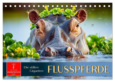 Flusspferde - die stillen Giganten (Tischkalender 2027 DIN A5 quer), CALVENDO Monatskalender