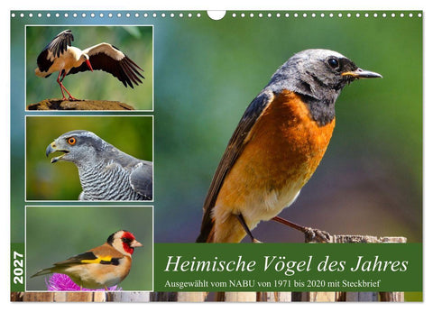 Heimische Vögel des Jahres (Wandkalender 2027 DIN A3 quer), CALVENDO Monatskalender