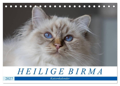 Heilige Birma Katzenkalender (Tischkalender 2027 DIN A5 quer), CALVENDO Monatskalender