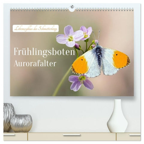 Frühlingsboten Aurorafalter (hochwertiger Premium Wandkalender 2027 DIN A2 quer), Kunstdruck in Hochglanz