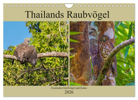 THAILANDS RAUBVÖGEL Exotische Greifvögel und Eulen (Wandkalender 2026 DIN A4 quer), CALVENDO Monatskalender