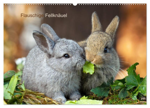 Flauschige Fellknäuel (Wandkalender 2027 DIN A2 quer), CALVENDO Monatskalender