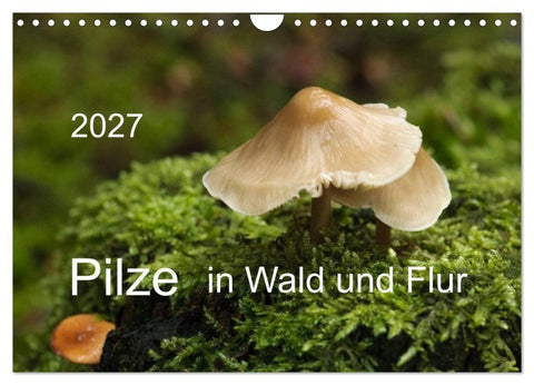 Pilze in Wald und Flur (Wandkalender 2027 DIN A4 quer), CALVENDO Monatskalender