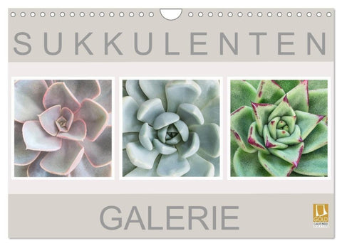 Sukkulenten Galerie (Wandkalender 2027 DIN A4 quer), CALVENDO Monatskalender