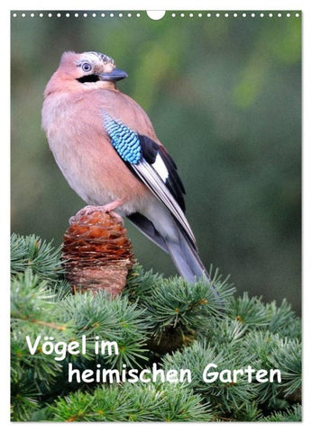 Vögel im heimischen Garten (Wandkalender 2027 DIN A3 hoch), CALVENDO Monatskalender