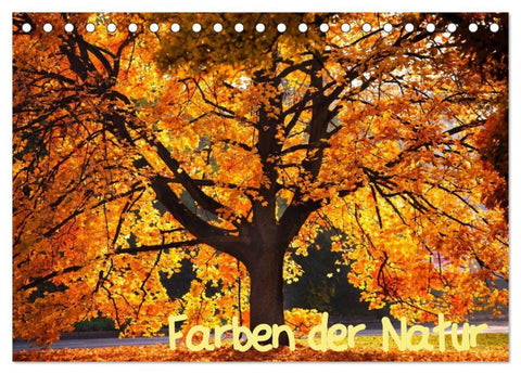 Farben der Natur (Tischkalender 2026 DIN A5 quer), CALVENDO Monatskalender
