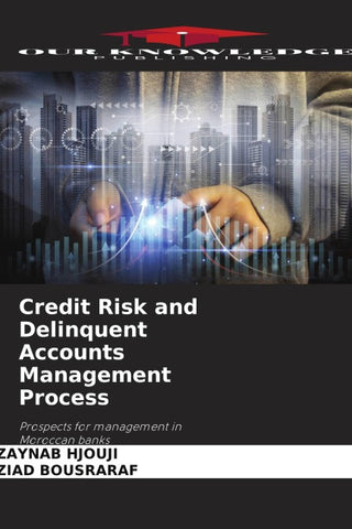 Credit Risk and Delinquent Accounts Management Process