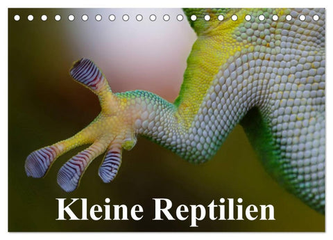 Kleine Reptilien (Tischkalender 2026 DIN A5 quer), CALVENDO Monatskalender