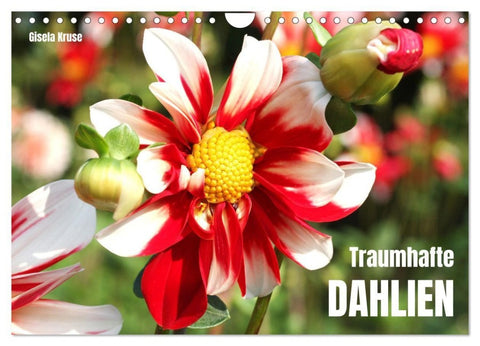 Traumhafte Dahlien (Wandkalender 2027 DIN A4 quer), CALVENDO Monatskalender