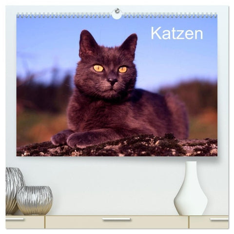 Katzen (hochwertiger Premium Wandkalender 2027 DIN A2 quer), Kunstdruck in Hochglanz