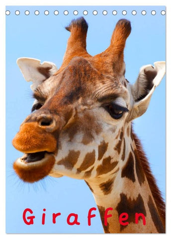 Giraffen (Tischkalender 2026 DIN A5 hoch), CALVENDO Monatskalender