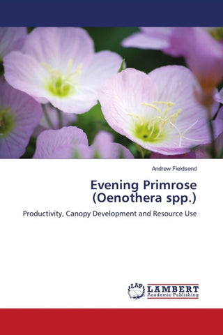 Evening Primrose (Oenothera spp.)