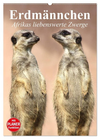 Erdmännchen - Afrikas liebenswerte Zwerge (Wandkalender 2027 DIN A2 hoch), CALVENDO Monatskalender
