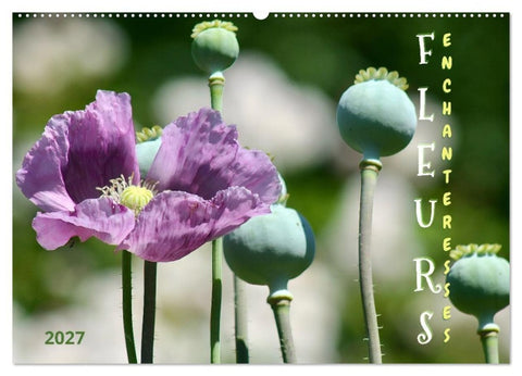 DES FLEURS ENCHANTERESSES (Calendrier mural 2027 DIN A2 vertical), CALVENDO calendrier mensuel
