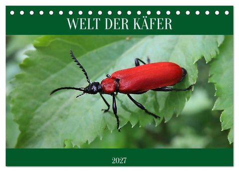 WELT DER KÄFER (Tischkalender 2027 DIN A5 quer), CALVENDO Monatskalender