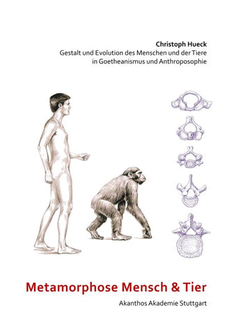 Metamorphose Mensch und Tier