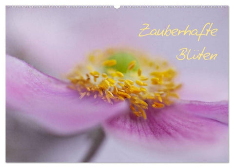 Zauberhafte Blüten (Wandkalender 2027 DIN A2 quer), CALVENDO Monatskalender