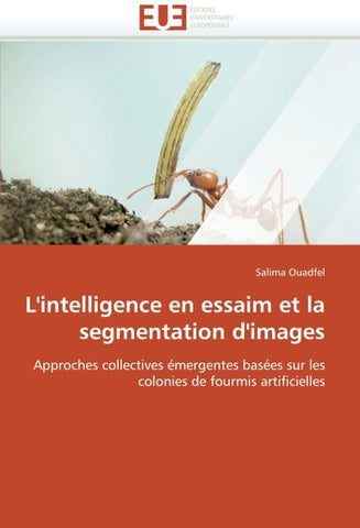 L''intelligence en essaim et la segmentation d''images