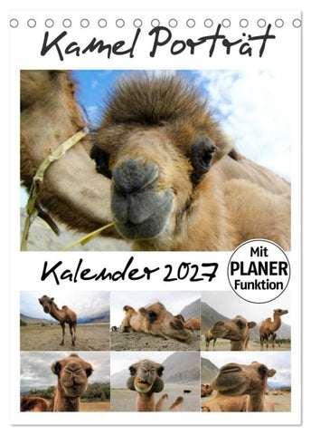 Kamel Porträt (Tischkalender 2027 DIN A5 hoch), CALVENDO Monatskalender