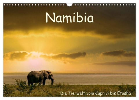 Namibia – Die Tierwelt vom Caprivi bis Etosha (Wandkalender 2027 DIN A3 quer), CALVENDO Monatskalender
