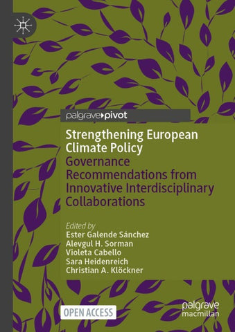 Strengthening European Climate Policy